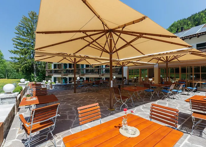 Hotel Alphotel